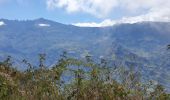 Randonnée Marche Saint-Louis - Tapage - Piton Cabris - La Fenêtre  - Photo 2