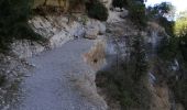 Tour Wandern La Palud-sur-Verdon - Chemin Martel  - Photo 11