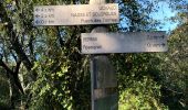 Trail Walking Bernis - Capitelles de Bernis - Photo 3