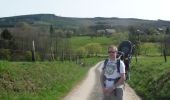 Trail On foot Stoumont - GrWandArd12: Rahier de groene hoogten tussen Ambleve en Lienne - Photo 9