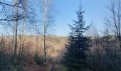 Tour Wandern La Roche-en-Ardenne - rando ornitho warempage 24/02/2021 - Photo 10