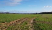 Tour Wandern Vesly - Vesly, Nainville, Le Chêne, Gisancourt, Dangu, Noyers - Photo 5