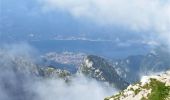 Tocht Stappen Esino Lario - Randonnée matinale - Photo 1