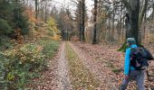 Randonnée Marche Gedinne - Bourseigne Vieille 20,6 km - Photo 3