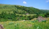 Randonnée Marche Lavigerie - Cantal - La Gravière - La Vallée de l'Impradine - 6km 170m 2h20 - 2019 07 03 - Photo 6