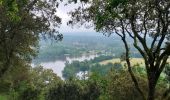 Percorso Bici da strada Lalinde - J1 Rives Dordogne - Coux - Photo 1