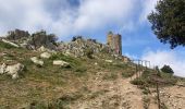 Tour Wandern Argelès-sur-Mer - Valmy tour massagne  - Photo 6