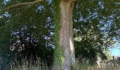 Trail Walking Josselin - Josselin Bretagne  - Photo 7
