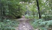 Randonnée Marche Rethondes - en forêt de Laigue_15_07_2021_autour du Mont du Fouilleux et du Mont des Singes - Photo 3