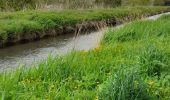 Trail Walking Crouy-sur-Ourcq - Marais de Negando et le Clignon depuis Crouy sur Ourcq - Photo 12