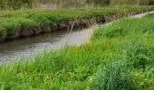 Tocht Stappen Crouy-sur-Ourcq - Marais de Negando et le Clignon depuis Crouy sur Ourcq - Photo 12