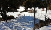 Randonnée Raquettes à neige Font-Romeu-Odeillo-Via - petit tour au dessus de l'appartement  - Photo 1