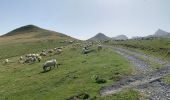 Tour Wandern Sainte-Engrâce - GR 10 - 11ème étape : Sainte Engrâce -refuge La Pierre-Szint-Martin - Photo 5