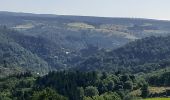 Randonnée Marche Mont Lozère et Goulet - château tournel - Photo 2