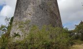 Trail Walking Sainte-Anne - bois jolan helleux - Photo 3