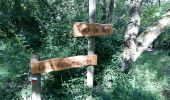 Trail Walking Bentayou-Sérée - LUCARE / ABERRE GR653A premier tronçon du secteur A 2801487 - Photo 10