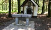 Tour Wandern Momignies - Momignie 20,5 km - Photo 12