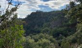 Excursión Senderismo Saint-Guilhem-le-Désert - Saint Gilhem le désert  - Photo 7