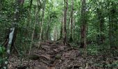 Excursión Senderismo Sainte-Luce - Forêt de Montravail  - Photo 18