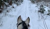Trail Horseback riding Neufchâteau - Hamipré Croix de l’homme par LuxGreen - Photo 5