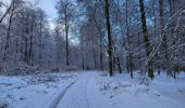 Randonnée Marche Tenneville - Laneuville aux bois 180124 - Photo 6