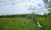 Tour Wandern Voerendaal - Balade des châteaux  - Photo 11