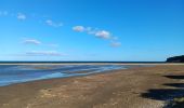 Trail Walking Leucate - leucate . franki plage . leucate - variante - Photo 9