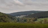 Randonnée A pied Grasellenbach - Mossautaler Drachenweg 1: Triumphalis - Photo 10