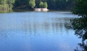 Tour Zu Fuß Forst Kleinschwarzenlohe - Jägersee Bienenweg No.2 - Photo 2