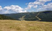 Randonnée Vélo électrique La Bresse - petit tour de la bresse - Photo 4