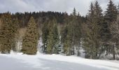 Tocht Sneeuwschoenen Autrans-Méaudre en Vercors - Pas de Nave  - Photo 1