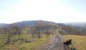 Tocht Te voet Charleroi - Marche dans l'après-midi - Photo 1