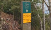 Trail Walking Beauregard-Baret - Pas de la pierre et pas de Bouvaret - Photo 3