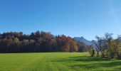 Percorso A piedi Brannenburg - Petrusquelle - Trail - Photo 5