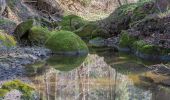 Tour Zu Fuß Adlwang - Waldlehrpfad Hallerwald - Photo 4