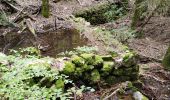 Trail Walking Vallées-d'Antraigues-Asperjoc - Entraigues  - Photo 2