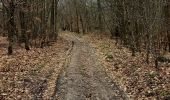 Tour Elektrofahrrad Saint-Clément - sortie vtt 19032023 vitrimont  - Photo 3