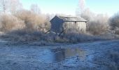 Trail Walking Vielsalm - entre Fraiture et le plateau des Tailles - Photo 12