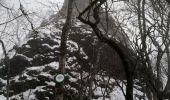 Randonnée Raquettes à neige Soultz-Haut-Rhin - Raquettes au Molkenrain - Photo 7