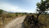 Trail On foot Linguaglossa - (SI V23F) Piano Provenzana - Moio Alcantara - Photo 8