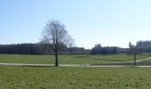 Percorso Marcia Neufchâteau - Massul - Bercheux - Photo 5
