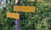 Trail Walking Albiez-le-Jeune - croix d Albiez - crête de Lacha - Photo 6