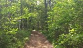 Trail Walking Lisle-sur-Tarn - Sur les hauteurs de Saurs - Photo 5