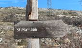 Trail Walking Courmes - Courmes  - Photo 7