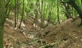 Trail Walking Albese con Cassano - Monte bolettone - Photo 2