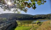 Randonnée Marche Ranspach - très, lac de la lauch - Photo 1