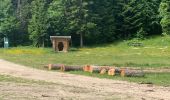 Tocht Stappen Autrans-Méaudre en Vercors - Les Narces 1 - Photo 2