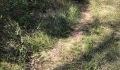 Trail Walking Mougins - Standard 2 - Photo 6