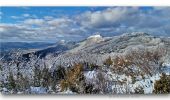 Tocht Stappen Serres - Rocher de Jardanne via Serres - Photo 7