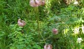 Tour Wandern Termes - Termes ( Aude )  + les gorges de Terminet +le Nitable roc - Photo 5